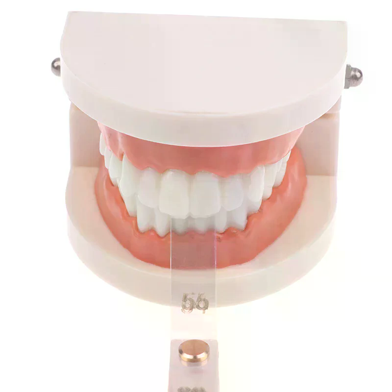 /ACR/Dental Interproximal Redu - Ruler Set Transparent recension och pris